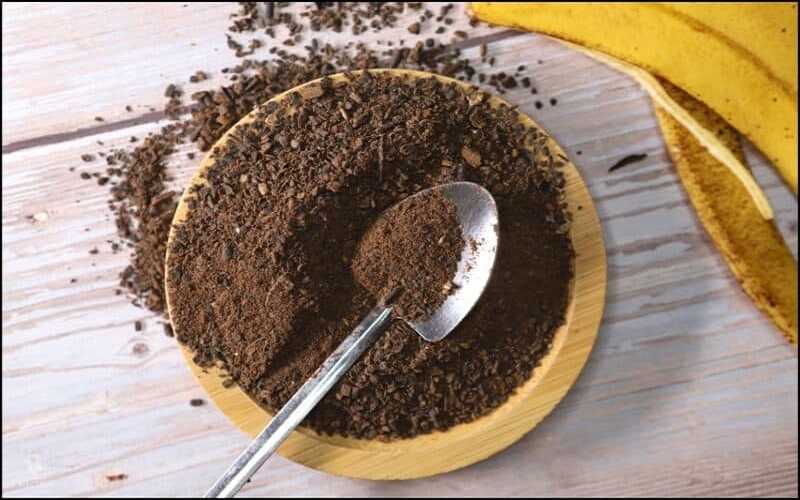 MS Ganesh Enterprise: organic green banana powder supplier in Netherlands