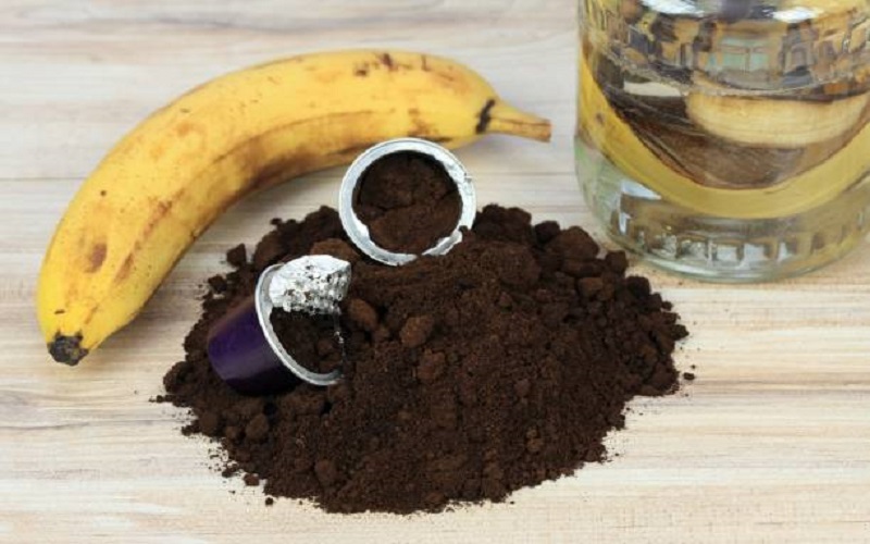 Expanding Organic Horizons:  organic green banana powder exporter in Netherlands