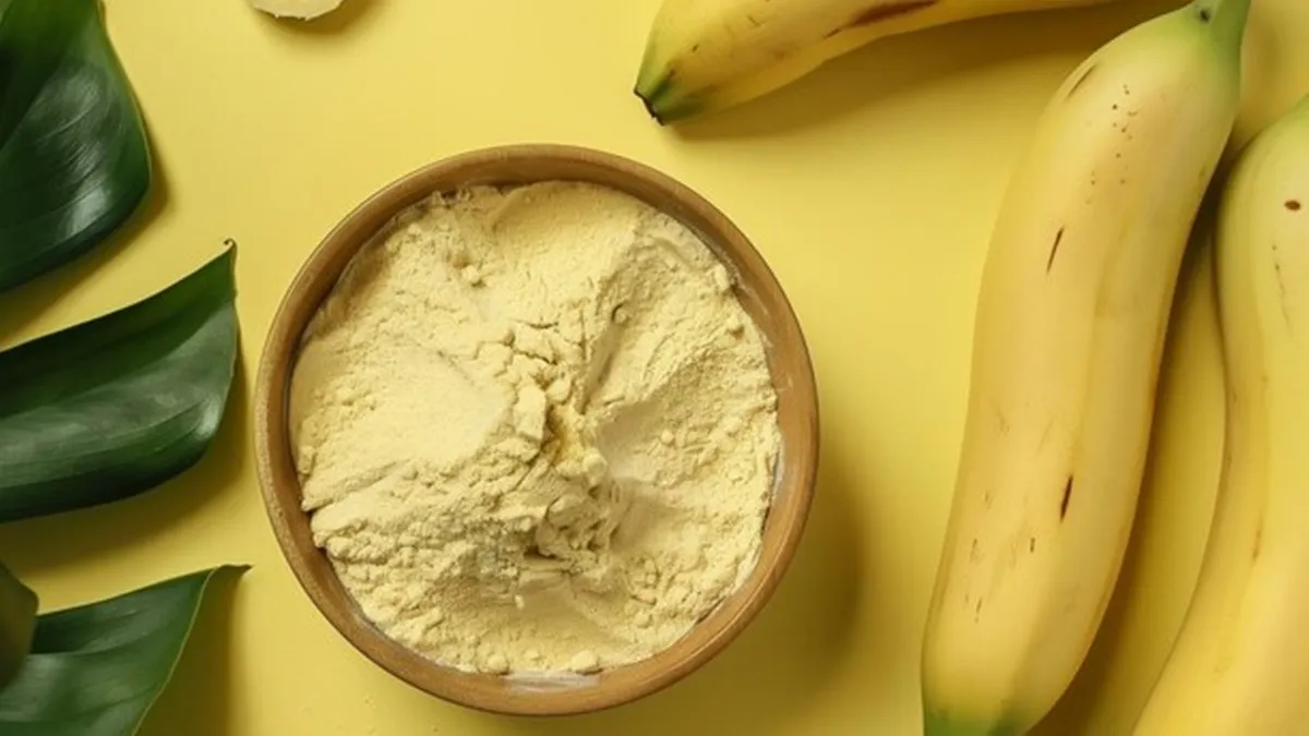 Exporting Organic Excellence to Germany: Premium Banana Powders by MS Ganesh Enterprise